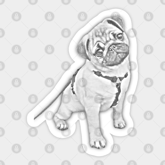 Pug Sketch Art Design Sticker by Kawaii Sketch